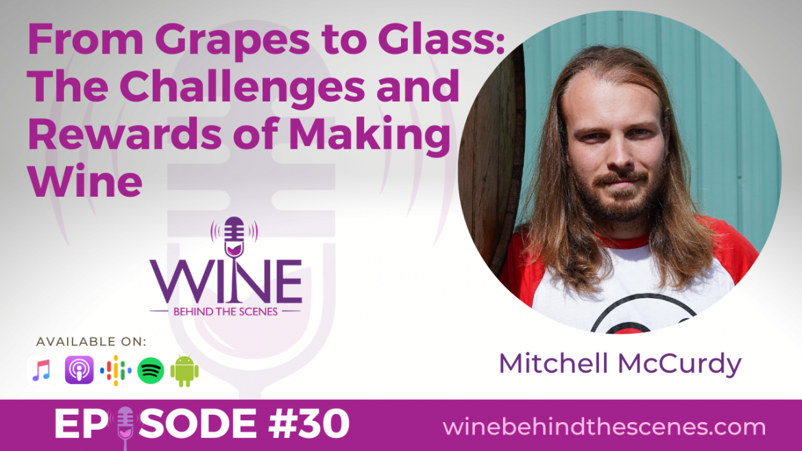 From Grapes to Glass: The Challenges and Rewards of Making Wine