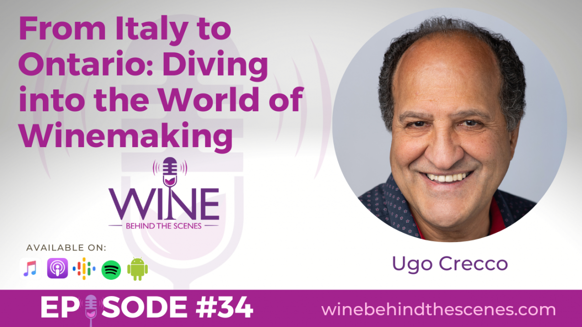 From Italy to Ontario: Diving into the World of Winemaking with Ugo Crecco